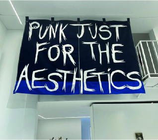 Punk just for the aesthetics